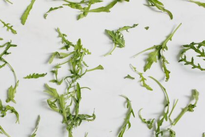 découvrez les bienfaits des aliments anti-inflammatoires pour améliorer votre santé. apprenez à intégrer ces super-aliments dans votre alimentation quotidienne pour réduire l'inflammation, favoriser la récupération et promouvoir un bien-être optimal.