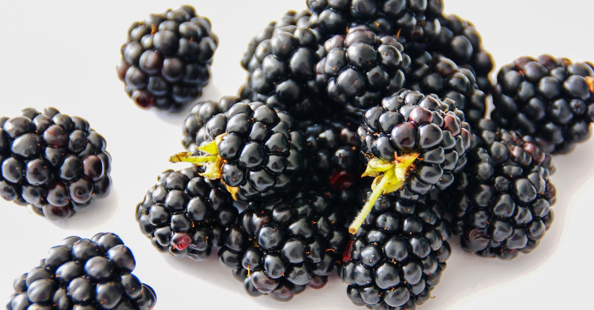 découvrez notre guide sur le régime riche en calories, conçu pour augmenter votre apport énergétique de manière saine et équilibrée. idéal pour ceux qui cherchent à prendre du poids ou à soutenir des entraînements intensifs, apprenez à choisir les bons aliments et à élaborer des repas délicieux et nutritifs.