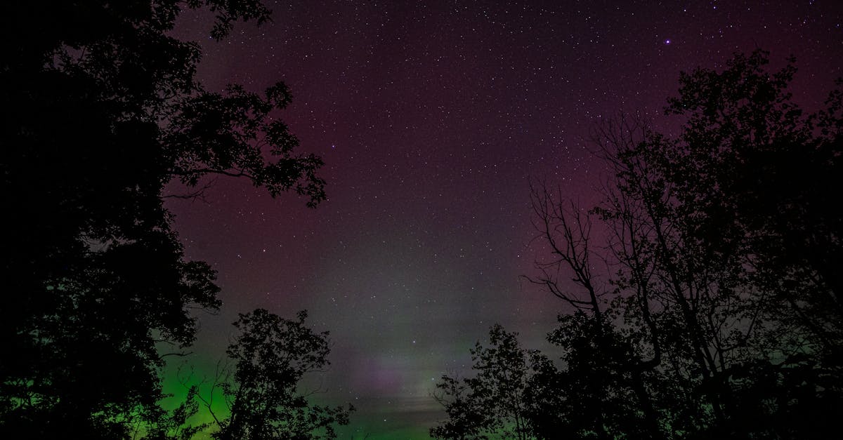 découvrez 'nocturnal awakening', une exploration immersive des mystères de la nuit. plongez dans un monde où les rêves et les réalités s'entremêlent, et laissez vos sens s'éveiller aux secrets cachés des heures sombres. une expérience littéraire captivante qui invite à la réflexion et à l'évasion.
