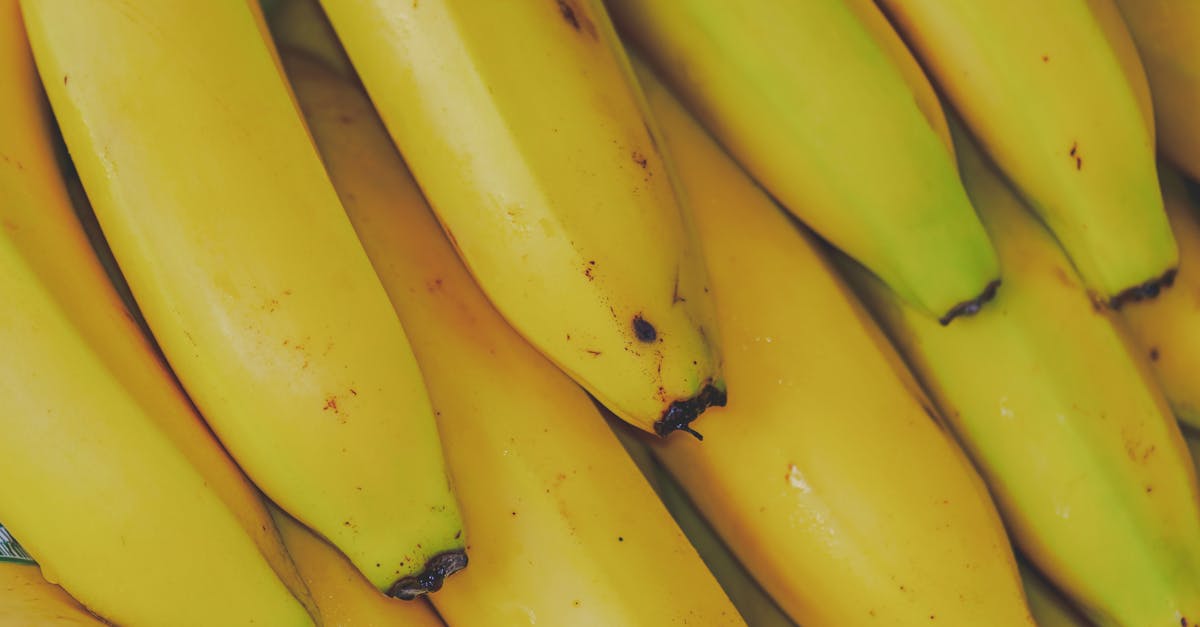 découvrez les multiples avantages des aliments bio pour votre santé et votre bien-être. apprenez comment une alimentation biologique peut améliorer votre vitalité, renforcer votre système immunitaire et contribuer à une planète plus saine.