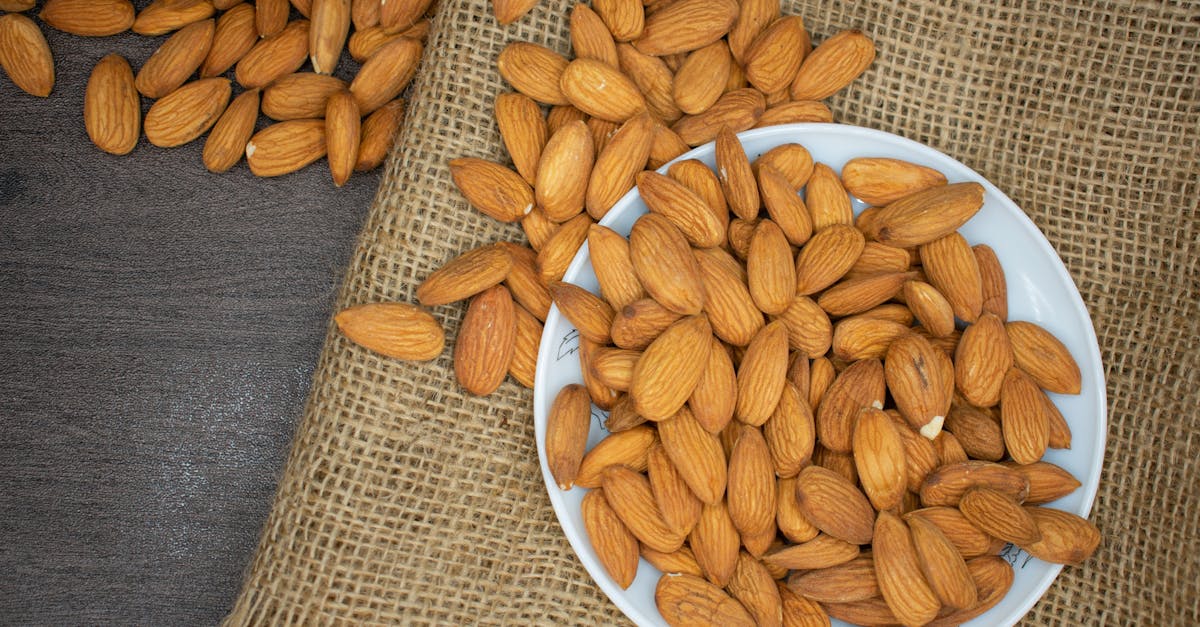 découvrez les bienfaits des protéines végétales : une alternative saine et durable aux sources de protéines animales. apprenez-en plus sur les différentes options, recettes et conseils pour intégrer ces super-aliments dans votre alimentation quotidienne.