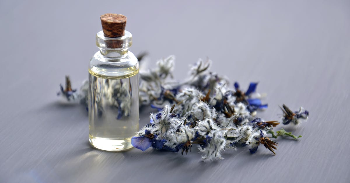 découvrez la thérapie ciblée, une approche innovante et personnalisée dans le traitement des maladies, utilisant des médicaments spécifiques pour attaquer les cellules malades tout en préservant les cellules saines.