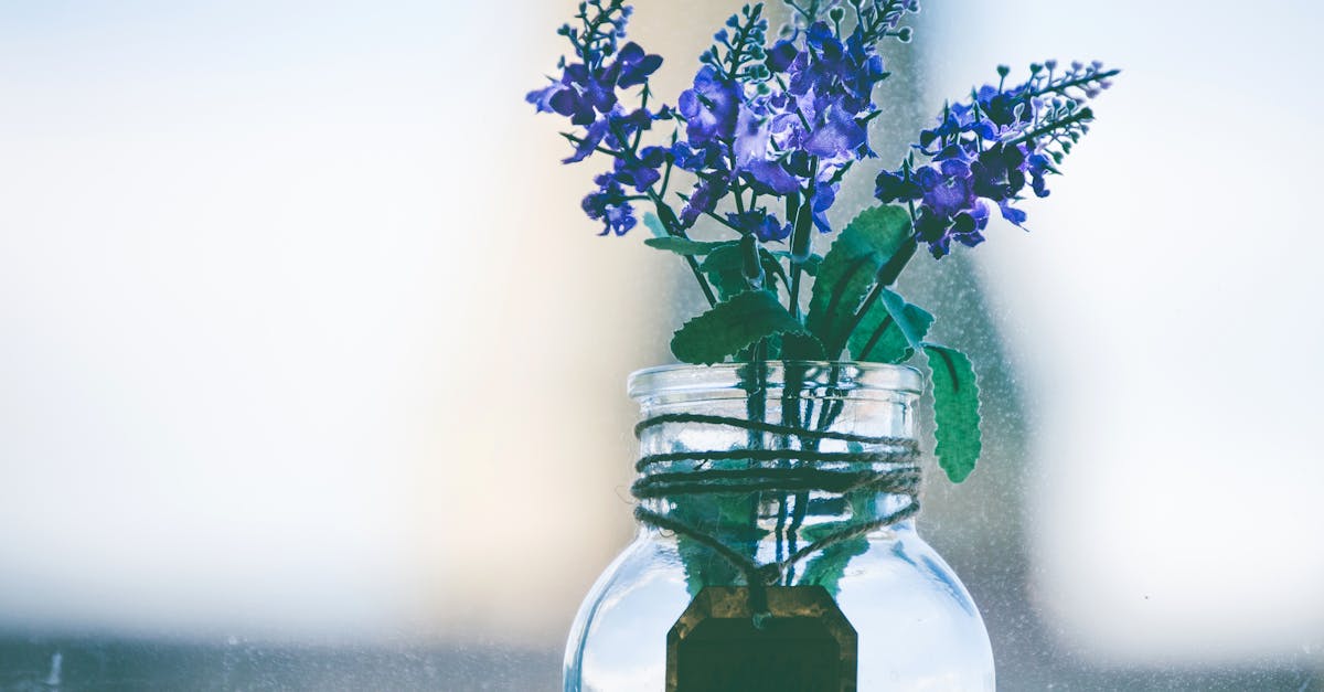 découvrez les bienfaits de l'aromathérapie, une pratique naturelle qui utilise les huiles essentielles pour améliorer votre bien-être. apprenez à utiliser les arômes pour apaiser le stress, stimuler votre énergie et favoriser la relaxation. explorez des conseils pratiques et des recettes pour intégrer l'aromathérapie dans votre vie quotidienne.