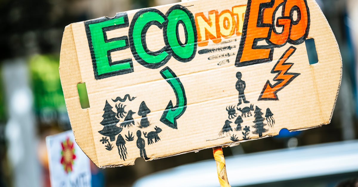 découvrez les enjeux du changement climatique, ses conséquences sur notre planète et les solutions pour un avenir durable. informez-vous sur les actions à entreprendre pour protéger notre environnement.