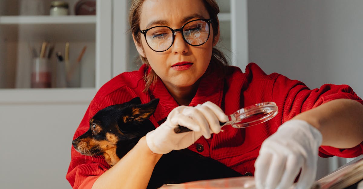 découvrez comment détecter la fièvre chez votre chien grâce à des méthodes simples et efficaces. assurez-vous du bien-être de votre compagnon à quatre pattes avec nos conseils pratiques et des solutions adaptées.