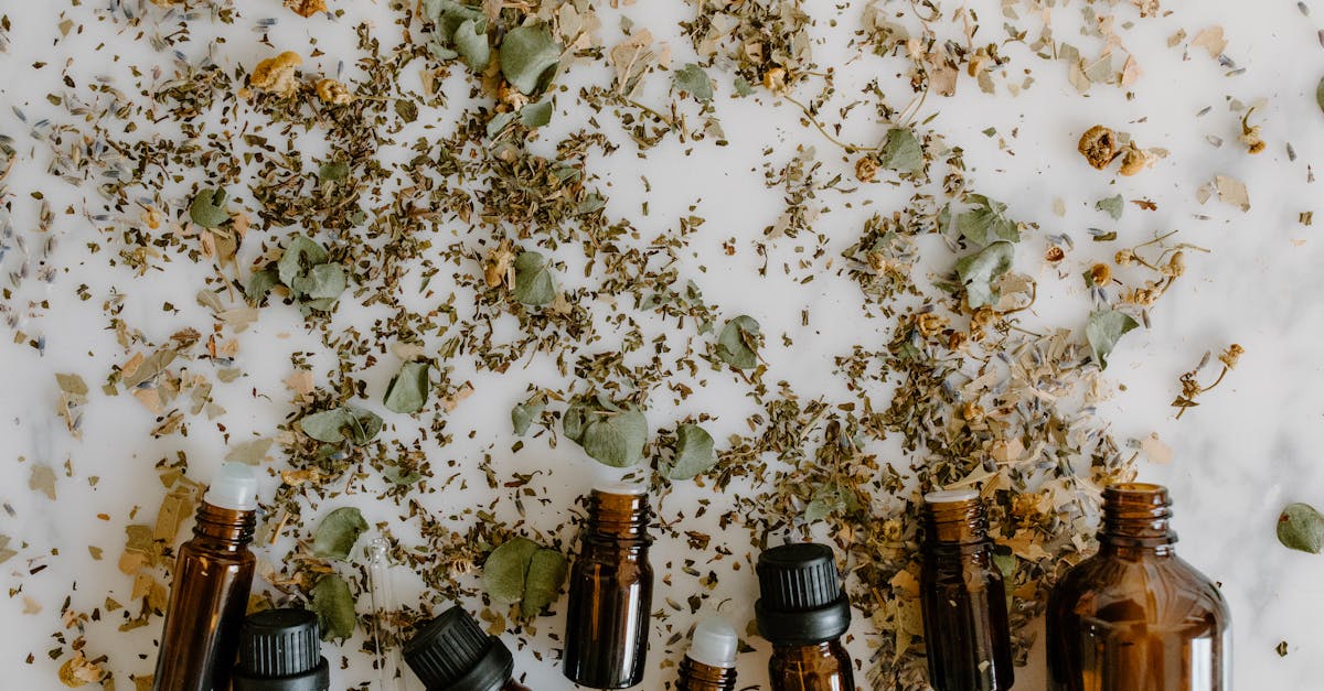 découvrez les bienfaits de l'eucalyptus pour votre santé. cette plante aux propriétés médicinales est réputée pour ses effets bénéfiques sur le système respiratoire, ses propriétés anti-inflammatoires et son rôle dans le soulagement des douleurs. explorez comment intégrer l'eucalyptus dans votre quotidien pour améliorer votre bien-être.