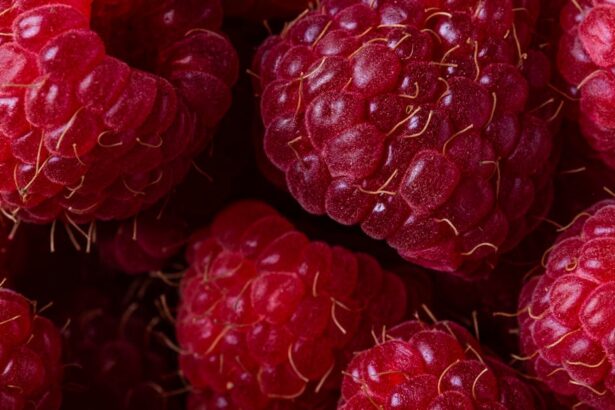 découvrez les nombreux bienfaits pour la santé qui influencent votre bien-être physique et mental. apprenez comment une alimentation équilibrée, l'exercice régulier et un mode de vie sain peuvent améliorer votre qualité de vie au quotidien.