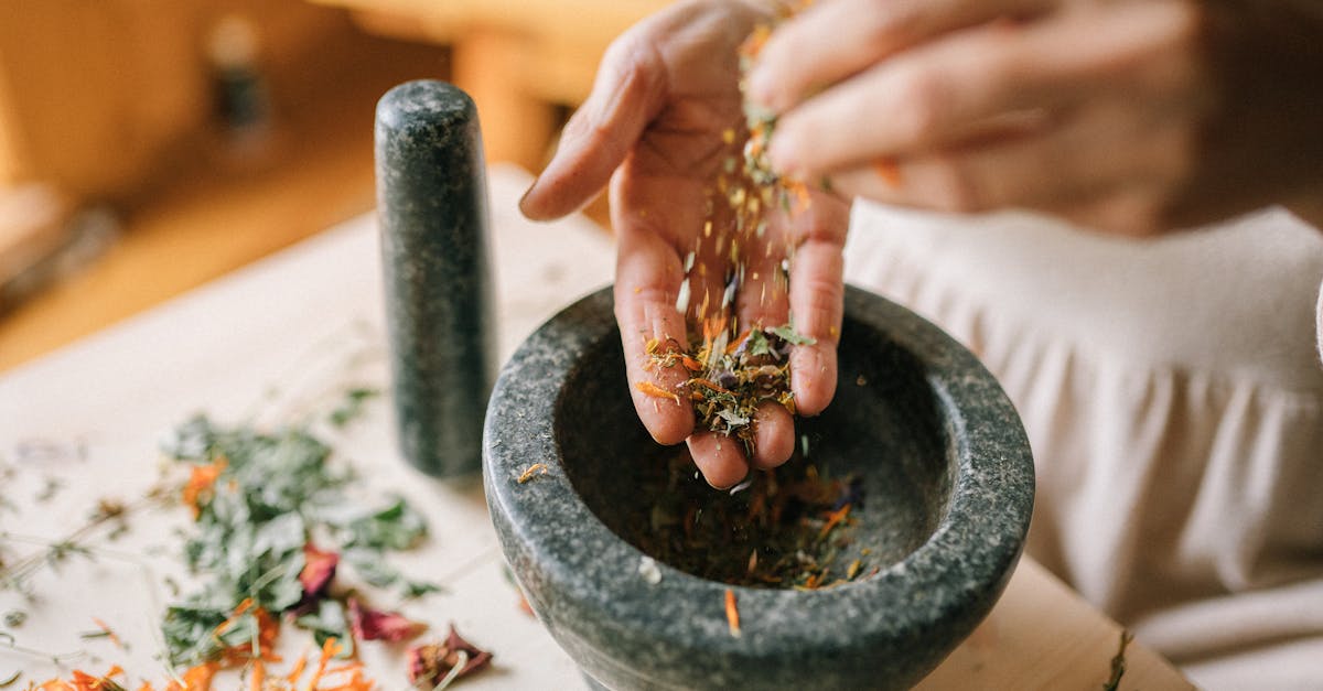 découvrez des remèdes naturels efficaces pour améliorer votre santé et votre bien-être. explorez des solutions holistiques, des plantes médicinales et des astuces de grand-mère pour une vie saine et équilibrée.