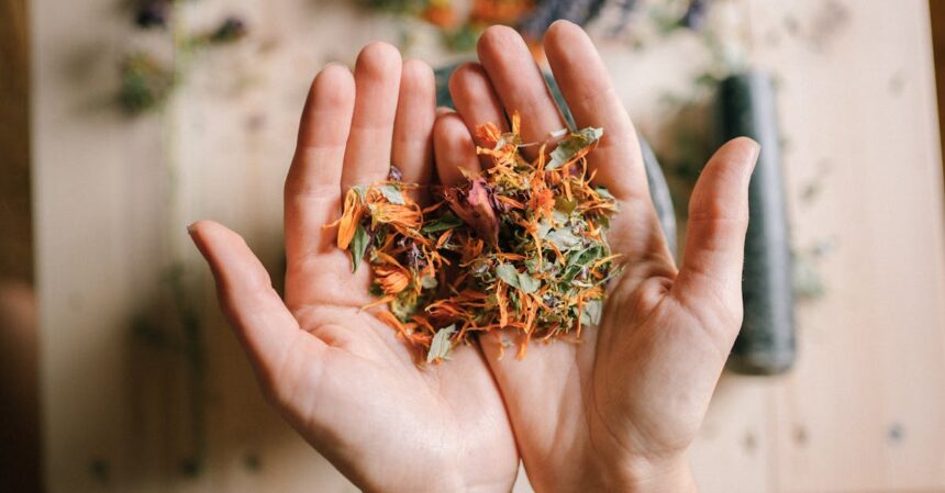 découvrez des remèdes naturels efficaces pour améliorer votre bien-être et soulager divers maux au quotidien. explorez nos conseils et astuces pour une approche holistique de la santé.
