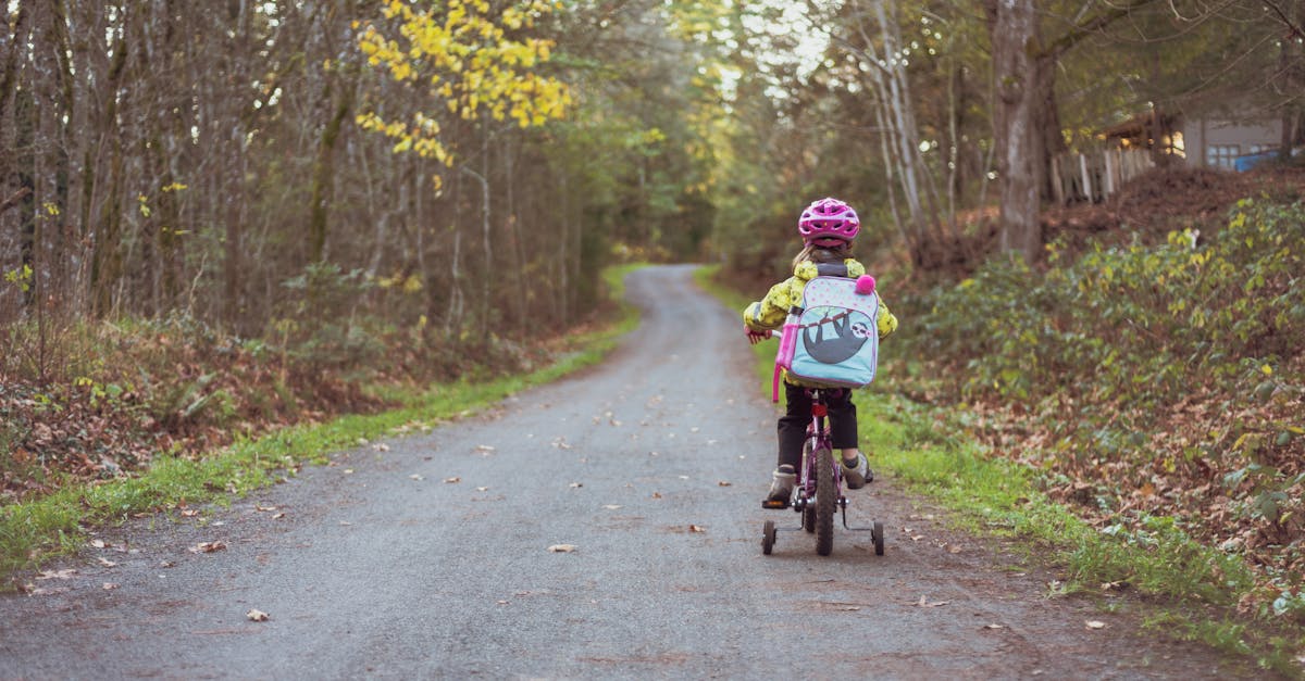 découvrez des conseils essentiels pour améliorer la sécurité routière. apprenez des pratiques sûres, des statistiques et des mesures à prendre pour réduire les accidents et protéger tous les usagers de la route.