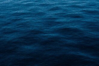 découvrez les incroyables bienfaits de l'eau de mer pour la santé et le bien-être. apprenez comment les minéraux et oligo-éléments présents dans l'eau salée peuvent revitaliser votre corps, améliorer votre peau et booster votre système immunitaire.