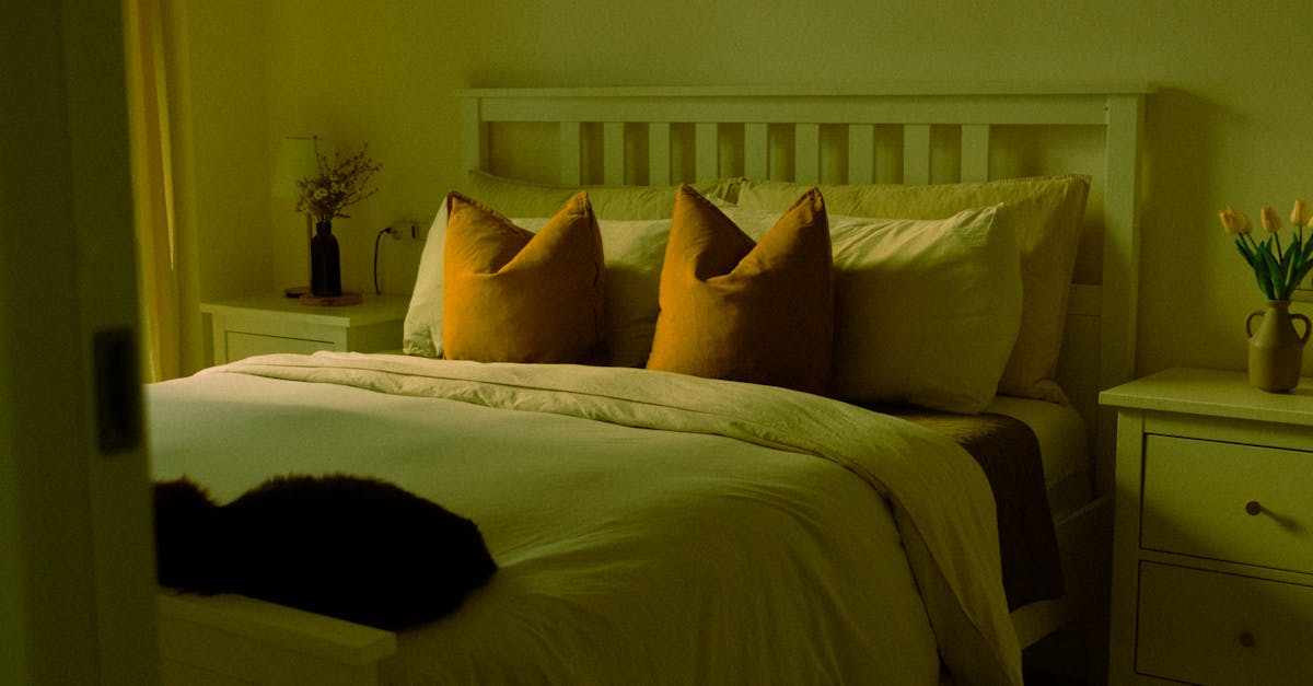 la paralysie du sommeil est un phénomène marqué par une incapacité temporaire à bouger ou à parler lors de l'endormissement ou du réveil. découvrez ses causes, ses symptômes et des conseils pour mieux comprendre et gérer cette expérience troublante.
